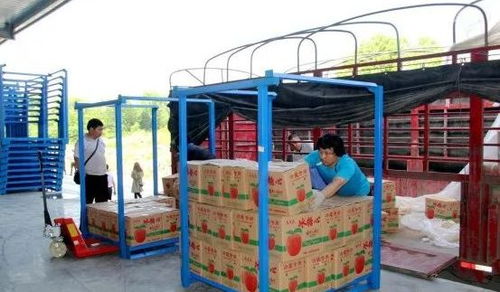 永州嘉信冷鏈倉儲(chǔ)物流中心正式開業(yè)，助推區(qū)域物流體系升級(jí)